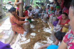 Mushroom-Farming-Training-in-Makawanpur-Medium